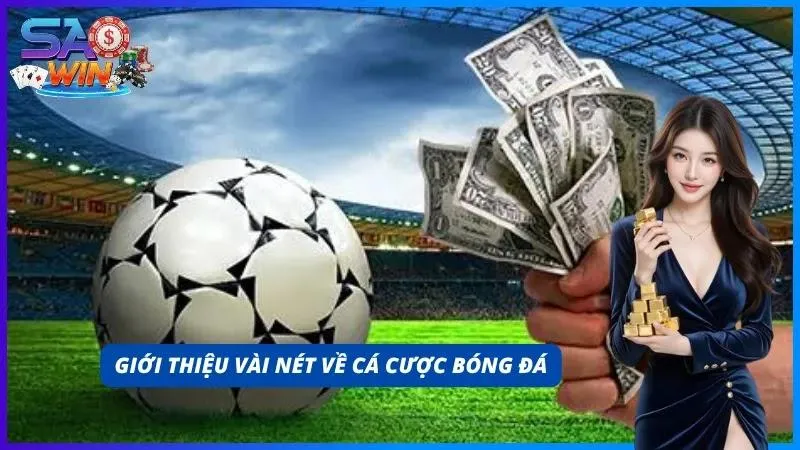 Cá cược bóng đá thu hút nhiều khách hàng