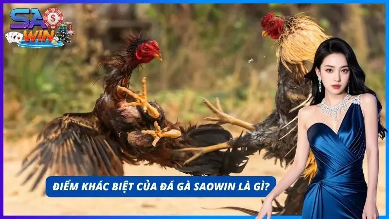 Trải nghiệm livestream sắc nét cùng sảnh cược đá gà