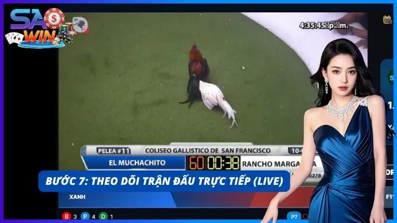 Dõi theo trận chiến từ màn hình livestream