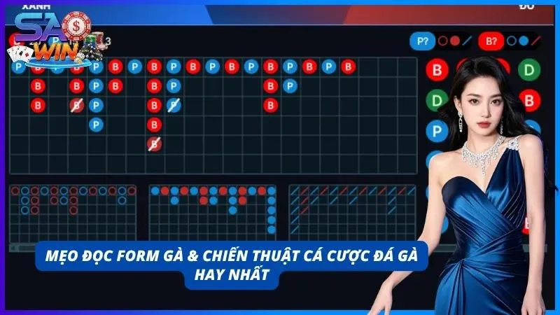 Nâng cao tỷ lệ thắng khi soi cầu đá gà chuyên nghiệp