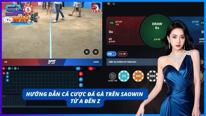 Tham gia đặt cược đá gà đơn giản tại cổng game