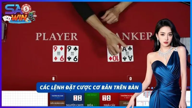 Hệ thống hiển thị các lệnh đặt cược trực quan