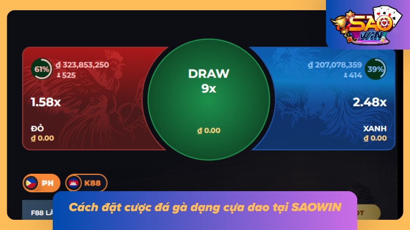 Đá Gà Cựa Dao SAOWIN - Chi Tiết Luật Cược Gà Đá Và Bí Kíp Bất Bại 4 Cách đặt cược đá gà dễ dàng