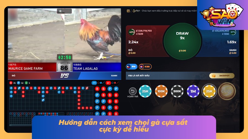 Đá Gà Cựa Sắt Saowin - Sảnh Cược Gà Đá Đẳng Cấp Châu Á 3 Cách quan sát trận đấu chọi kê