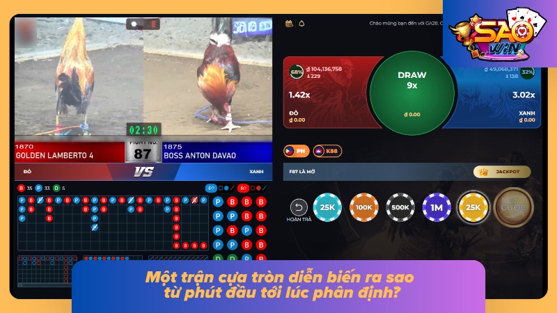 Đá Gà Cựa Tròn | Hiểu Về Loại Cựa, Luật Trận Và Soi Chiến Kê 4 Các giai đoạn thi đấu nối tiếp cho đến khi trọng tài xác định kết quả