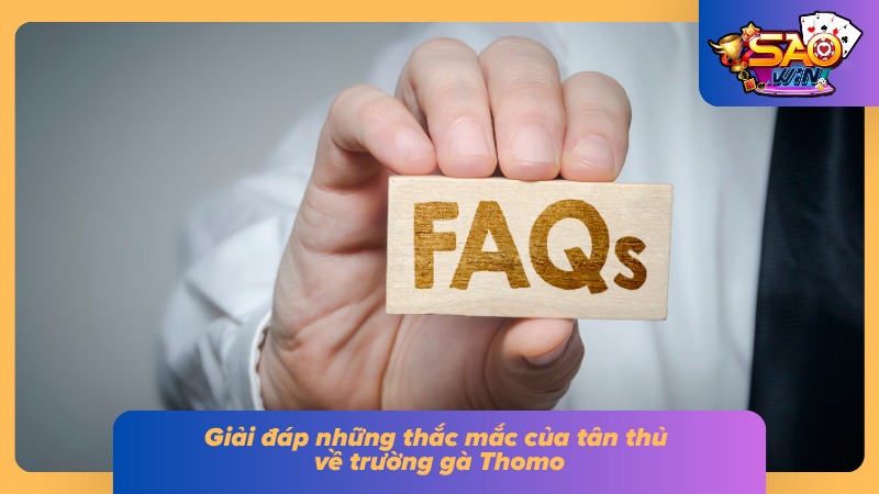 Đá Gà Thomo Saowin - Trận Chiến Đỉnh Cao Không Thể Bỏ Lỡ 5 FAQ về những vấn đề thường gặp của tân thủ Saowin