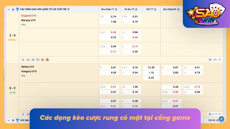Kèo Rung Saowin - Hình Thức Cá Cược Giúp Khách Hàng Đổi Đời 2 05 dạng cá độ được nhiều newbie lựa chọn