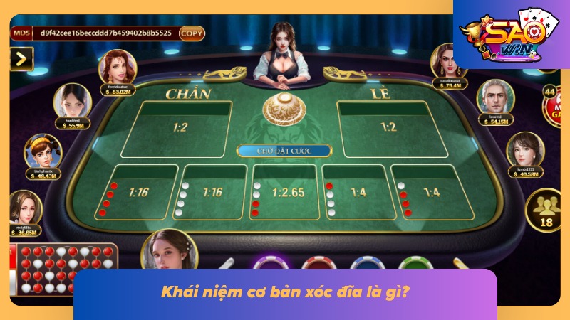 Hiểu đúng về khái niệm cơ bản của xóc đĩa
